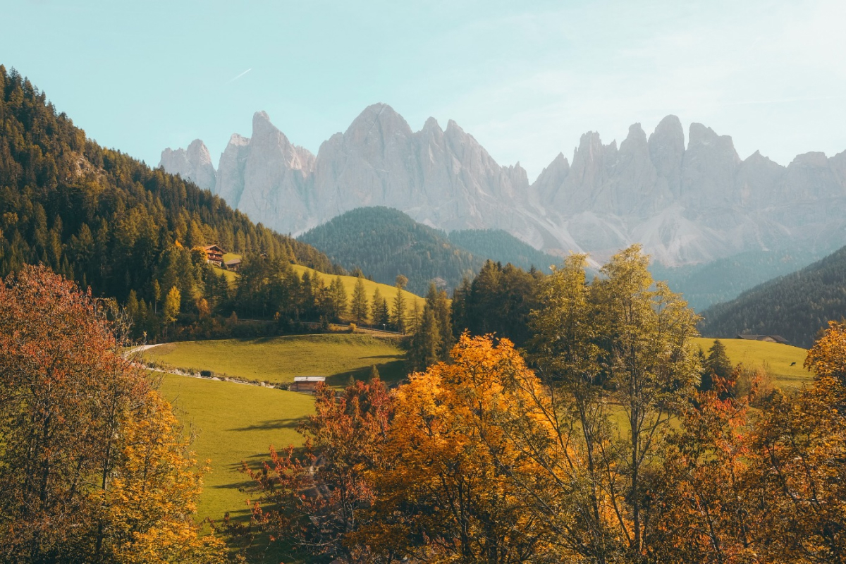 natures 01.jpg